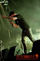 In Flames (9)